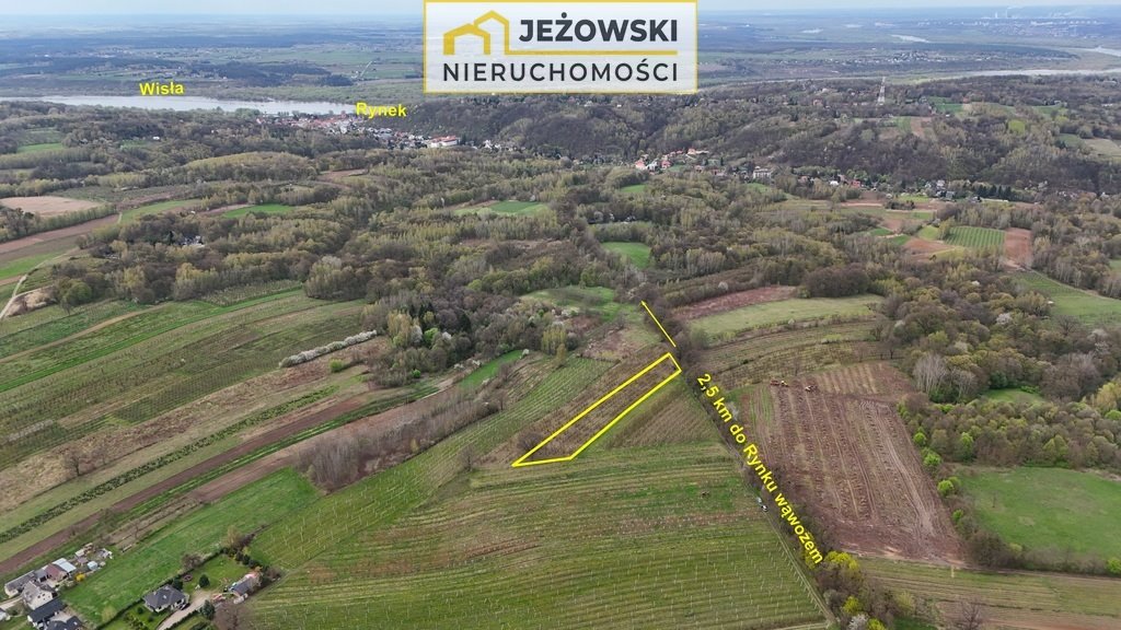 Działka budowlana na sprzedaż Kazimierz Dolny, Jeziorszczyzna  5 144m2 Foto 10