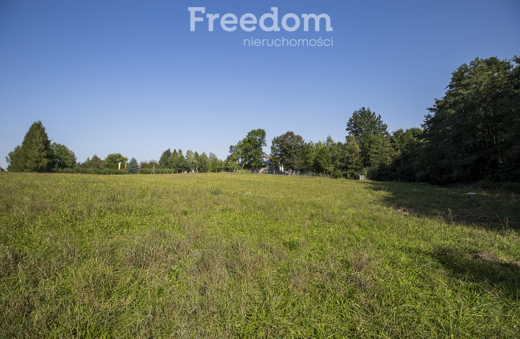 Działka budowlana na sprzedaż Chmielnik  1 600m2 Foto 6