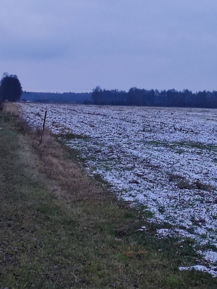 Działka siedliskowa na sprzedaż Dębowiec, Dębowiec  3 025m2 Foto 2