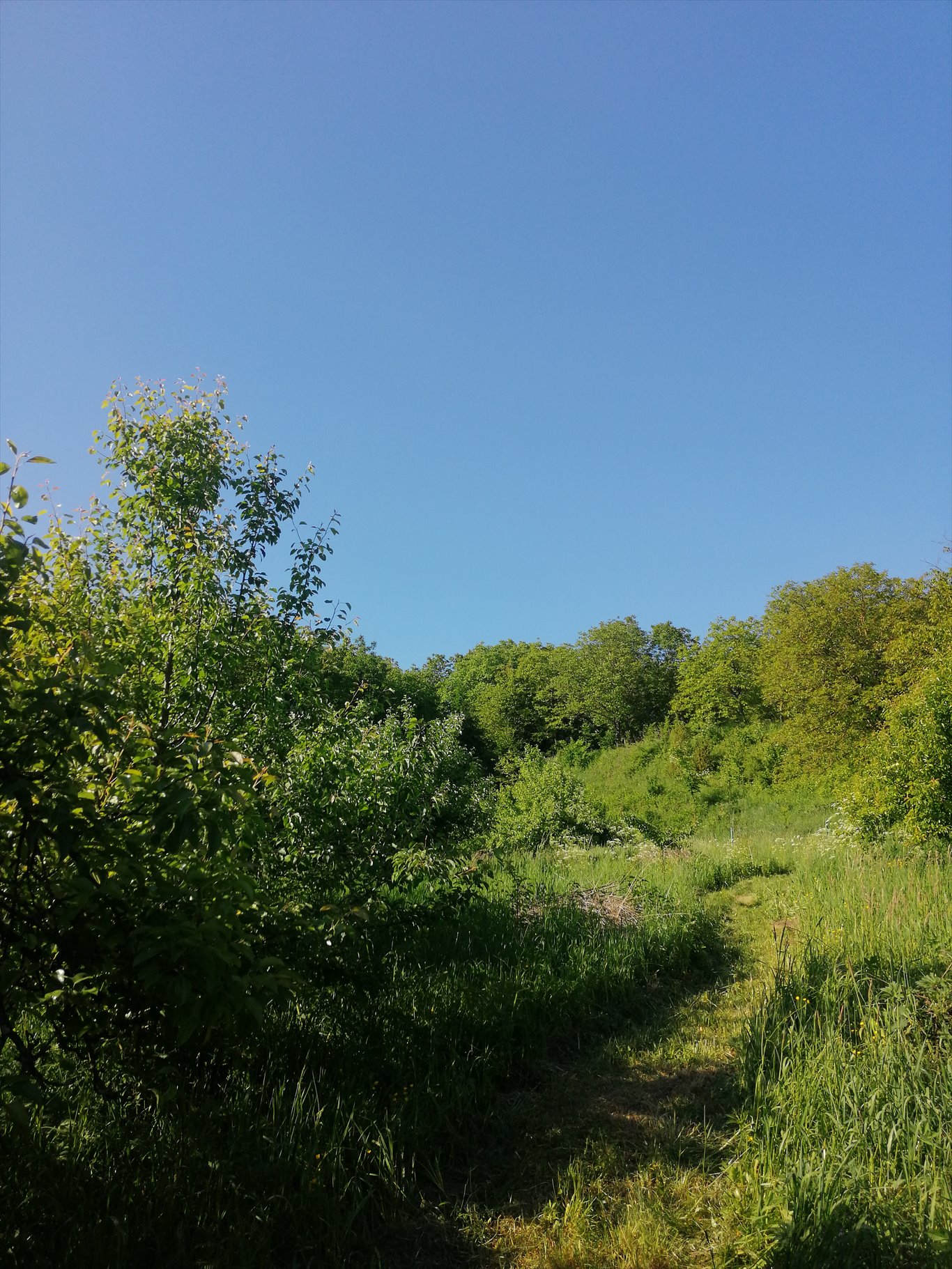 Dom na sprzedaż Krzeszów  110m2 Foto 4