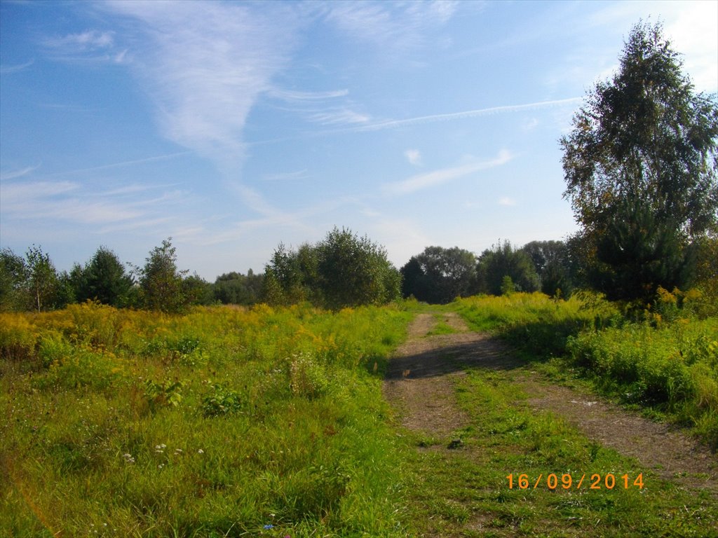 Działka budowlana na sprzedaż Warszawa, Bielany, Wawrzyszew  9 530m2 Foto 2