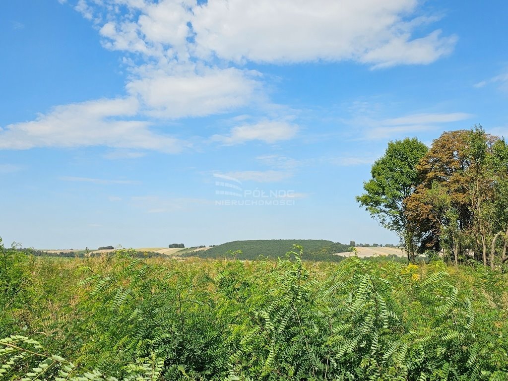 Działka rolna na sprzedaż Racławice  11 100m2 Foto 4