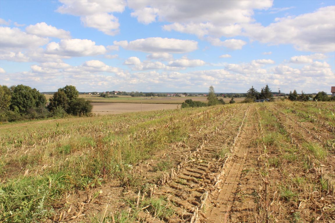 Działka budowlana na sprzedaż Sława  1 000m2 Foto 9