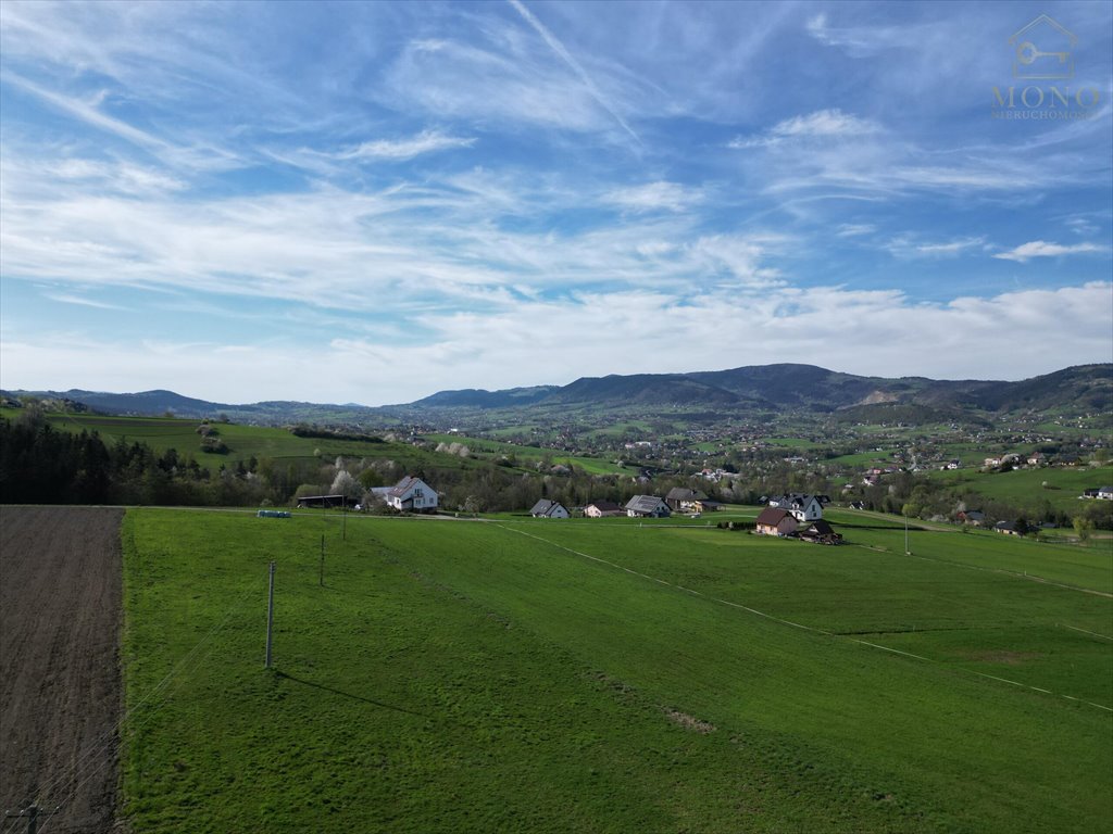 Działka rolna na sprzedaż Krasne Potockie  8 200m2 Foto 7