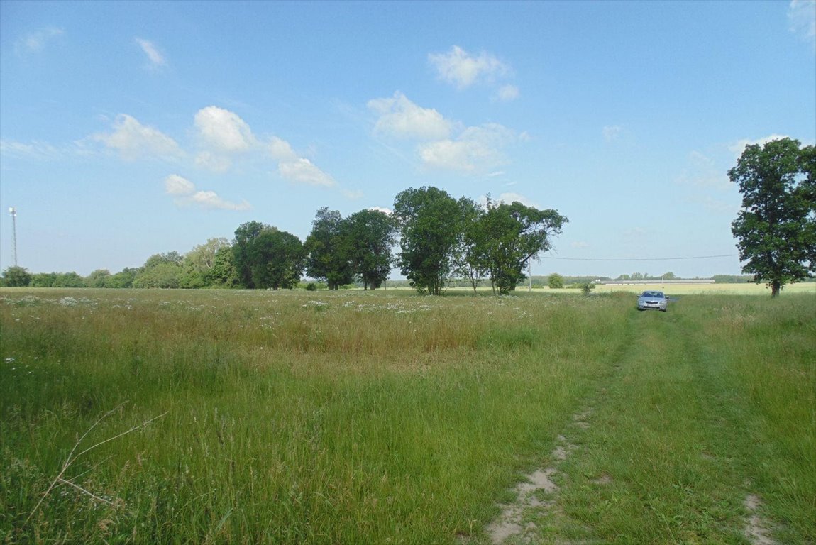 Działka budowlana na sprzedaż Lutomiersk, Szadkowska  1 237m2 Foto 7