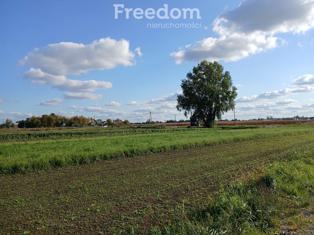 Działka budowlana na sprzedaż Żukówka, Łąki  1 171m2 Foto 5