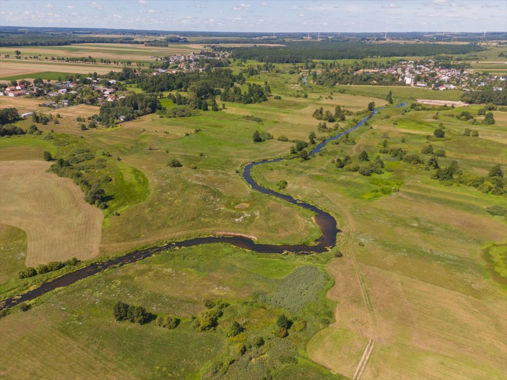 Działka leśna na sprzedaż Ossolin  2 000m2 Foto 5