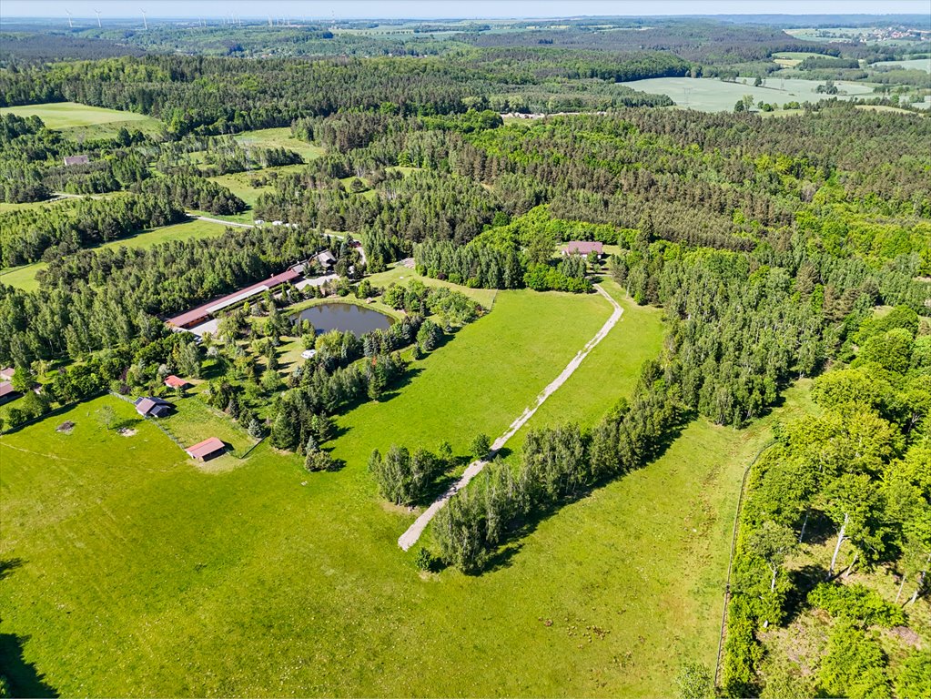 Działka budowlana na sprzedaż Gniewino  3 450m2 Foto 4