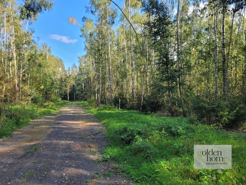 Działka budowlana na sprzedaż Świecie, Świecie  987m2 Foto 4