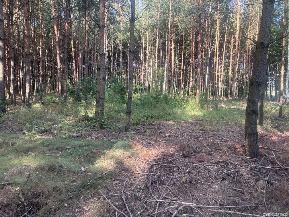 Działka budowlana na sprzedaż Radomyśl nad Sanem, Chwałowice  1 150m2 Foto 3