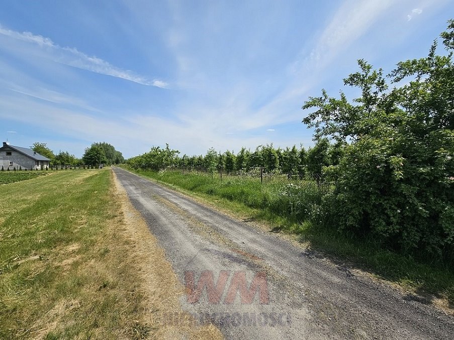 Działka rolna 3,8 ha z sadem w Jasieńcu – negocjuj! Jasieniec  38 000m2 Foto 1