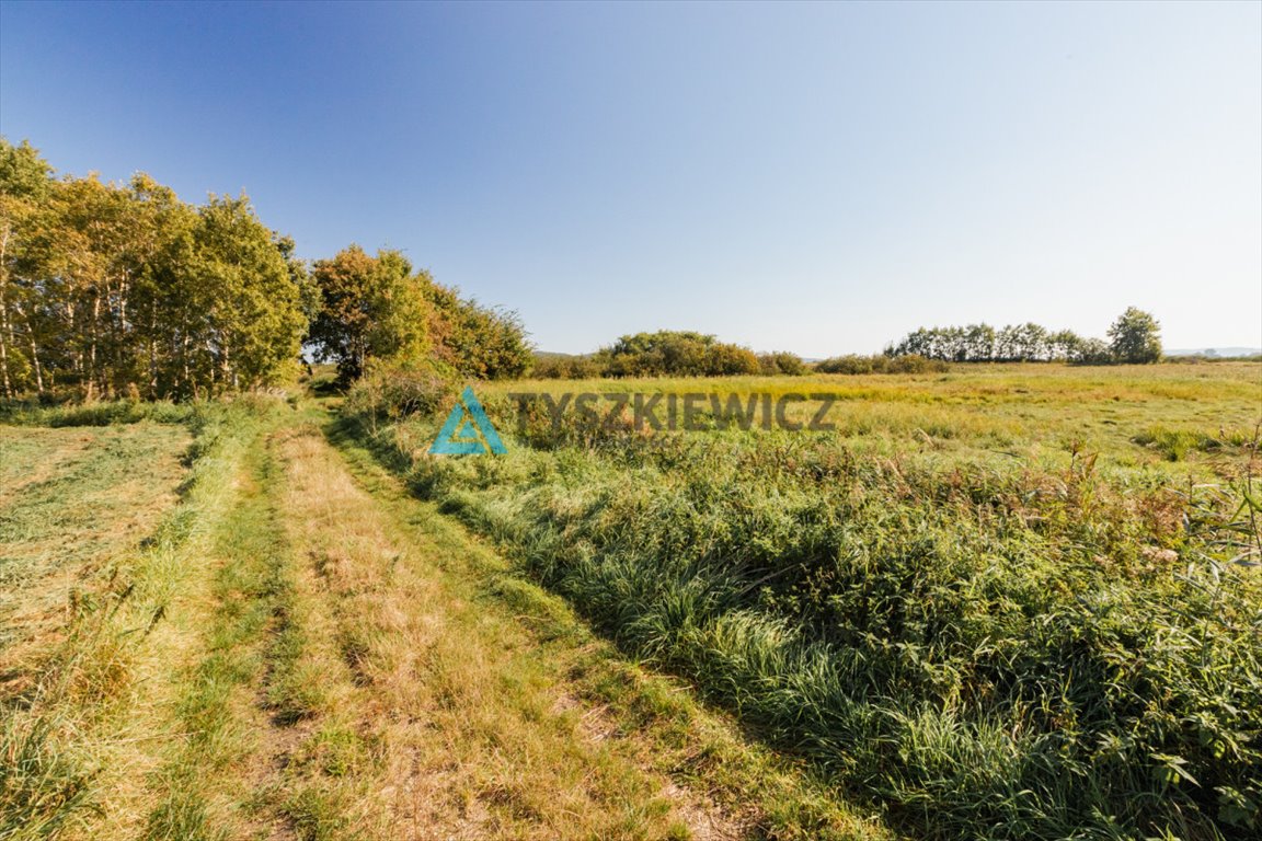 Działka rolna na sprzedaż Reda, Rolnicza  15 800m2 Foto 10