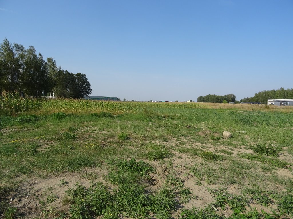 Działka pod zabudowę jednorodzinną 2,05 ha, świetny dojazd Piotrków Trybunalski, Kasztelańska  20 518m2 Foto 1