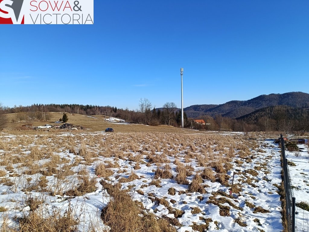 Działka budowlana na sprzedaż Wałbrzych, Podgórze  1 067m2 Foto 5