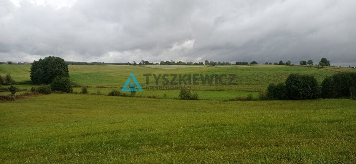 Działka rolna na sprzedaż Liniewo  11 519m2 Foto 2