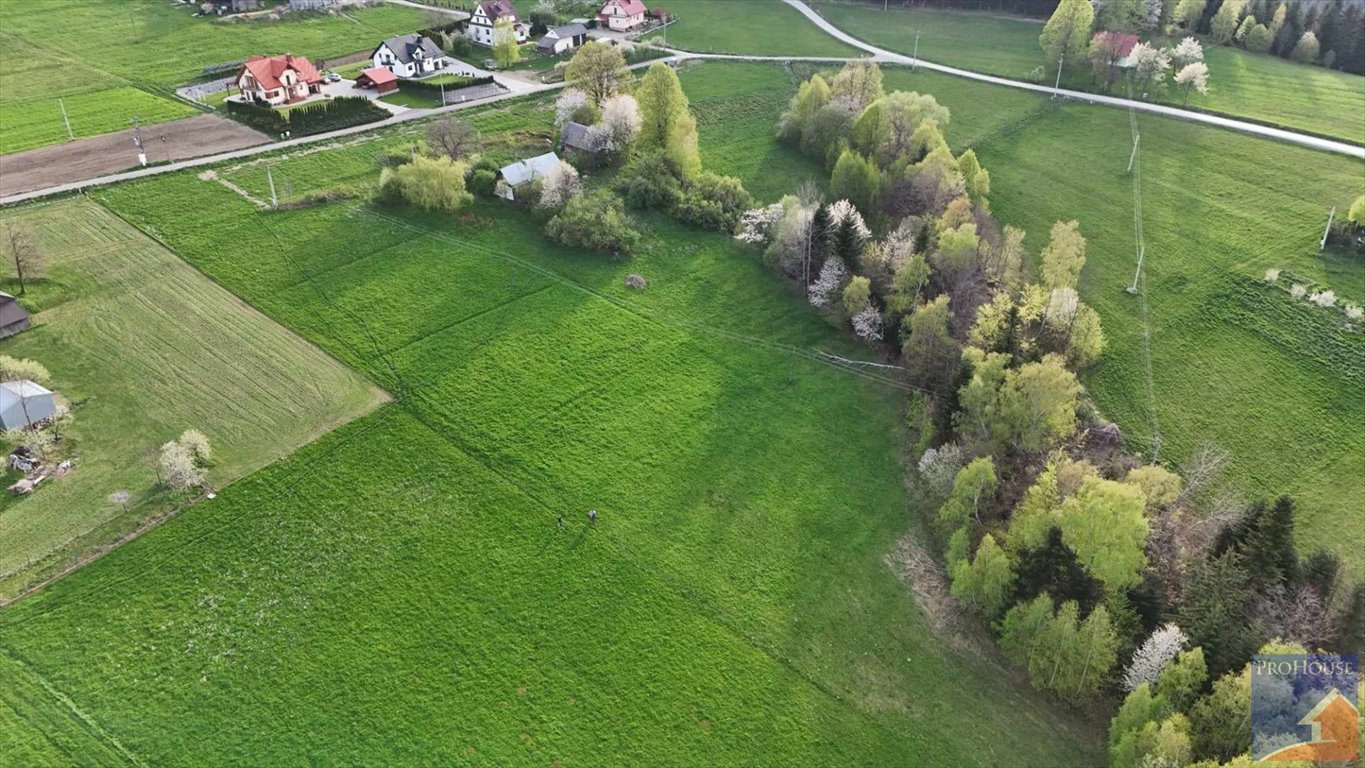 Działka inna na sprzedaż Stara Wieś  14 000m2 Foto 3