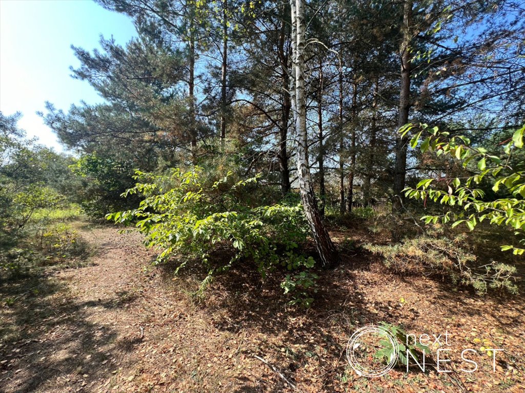 Działka budowlana na sprzedaż Czarnów, Sikorki  1 500m2 Foto 4