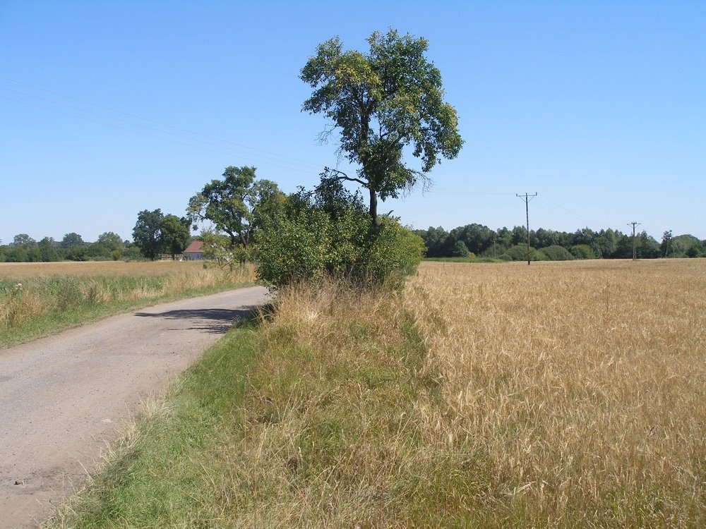 Działka budowlana 3009 m2 w Trzcińsku-Zdroju, lasy i jeziora Trzcińsko-Zdrój  3 009m2 Foto 1