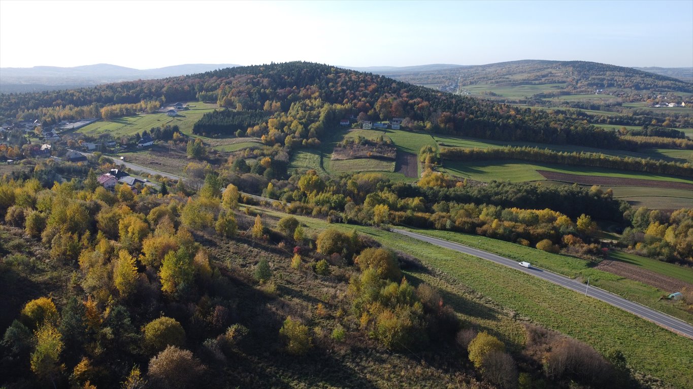 Działka budowlana na sprzedaż Święta Katarzyna  4 888m2 Foto 4