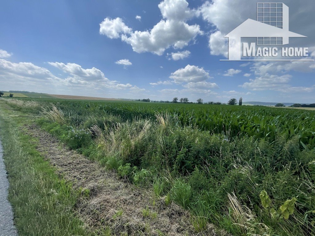 Działka budowlana na sprzedaż Prusy  3 000m2 Foto 4