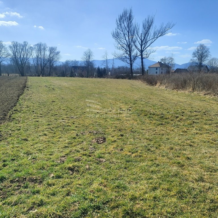 Działka inna na sprzedaż Zarzecze, Spokojna  3 426m2 Foto 2