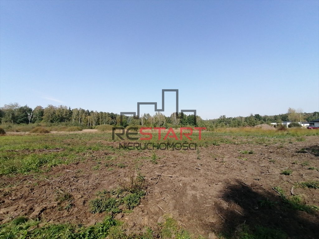 Działka budowlana na sprzedaż Janinów  1 500m2 Foto 5