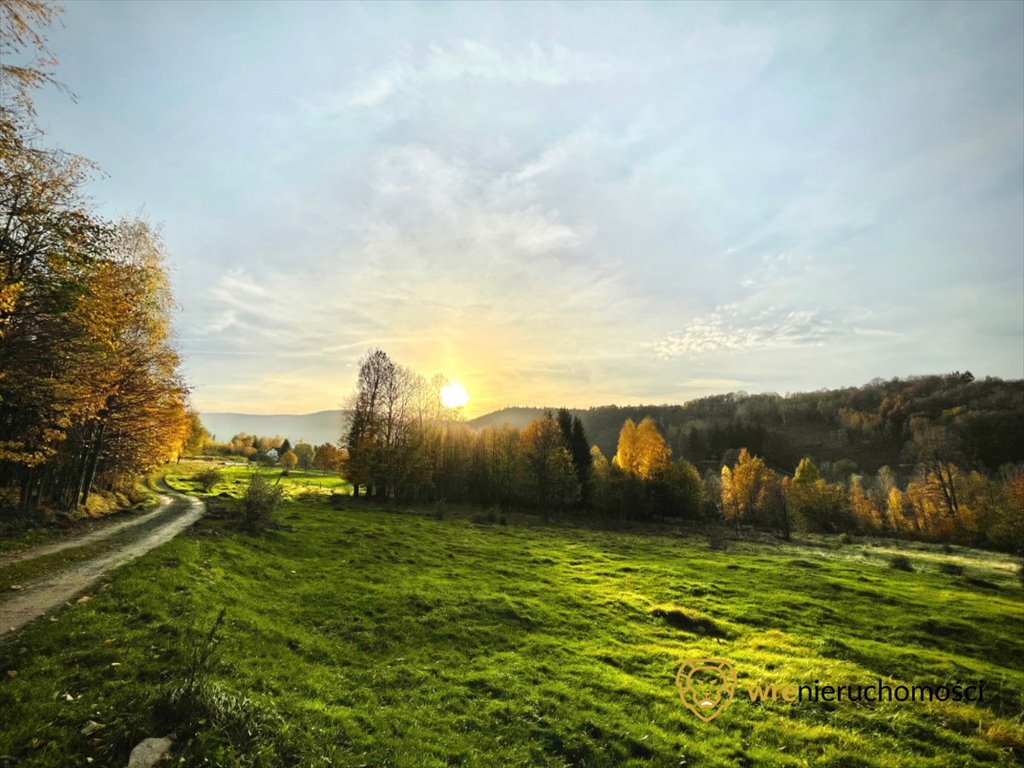 Działka budowlana na sprzedaż Krobica  9 929m2 Foto 9