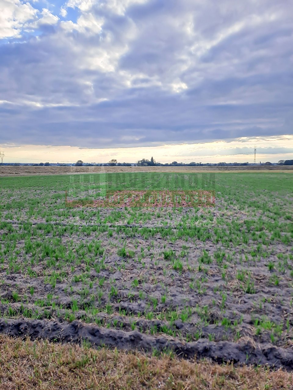 Działka inna na sprzedaż Opole, Grotowice  5 197m2 Foto 1