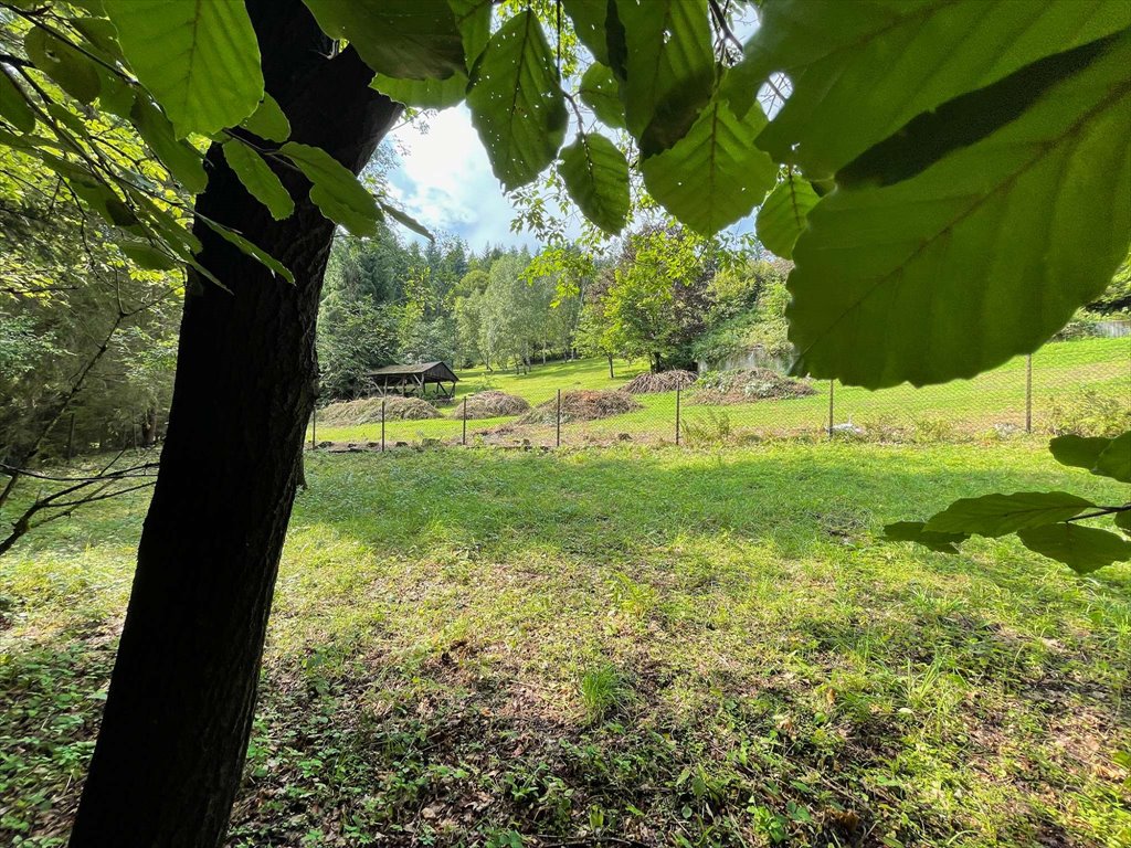 Działka budowlana na sprzedaż Wisła, Wisła  2 750m2 Foto 3