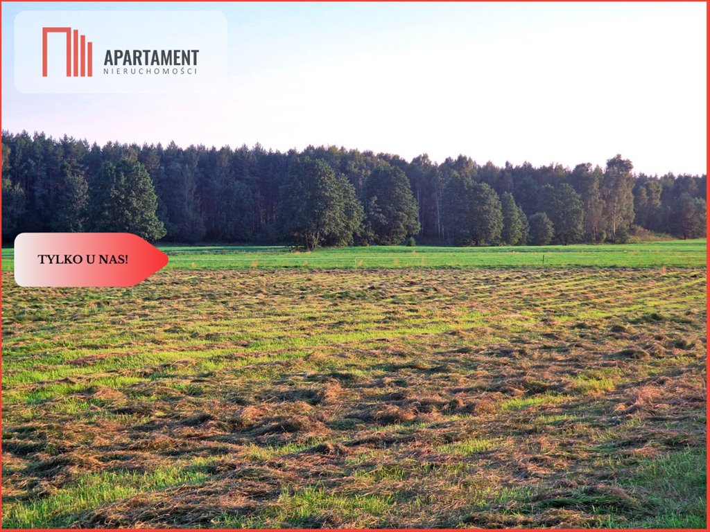 Działka rolna 6000 m² w Kęszy z potencjałem budowlanym Kęsza  6 000m2 Foto 1