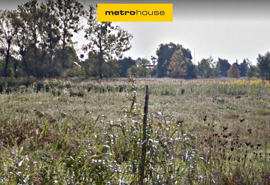 Działka budowlana na sprzedaż Koninko  1 400m2 Foto 1