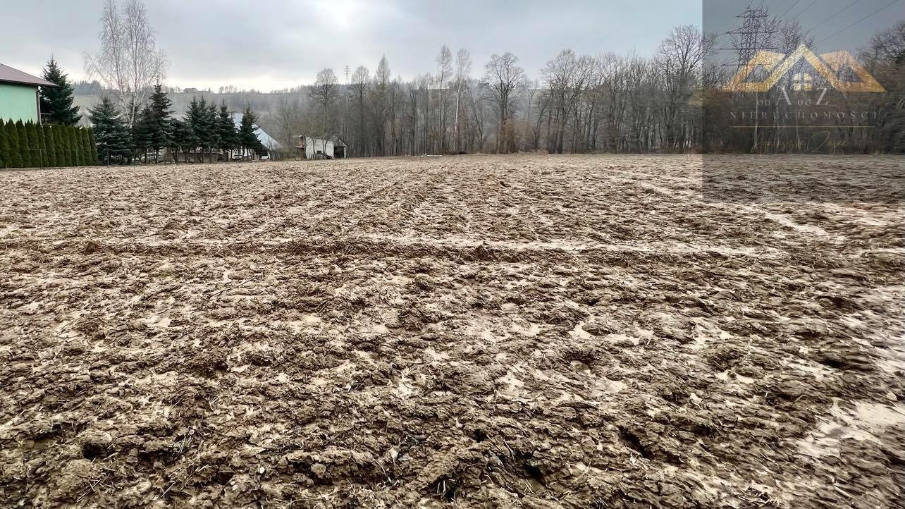 Działka budowlana na sprzedaż Siedliska  5 800m2 Foto 4