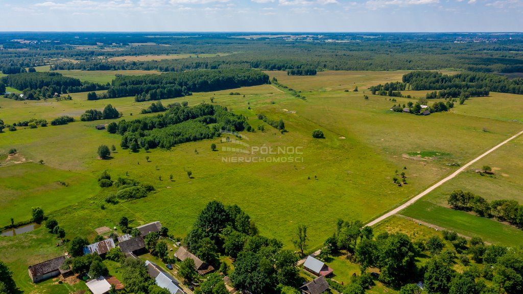 Działka rolna na sprzedaż Mieleszki-Kolonia  3 003m2 Foto 6