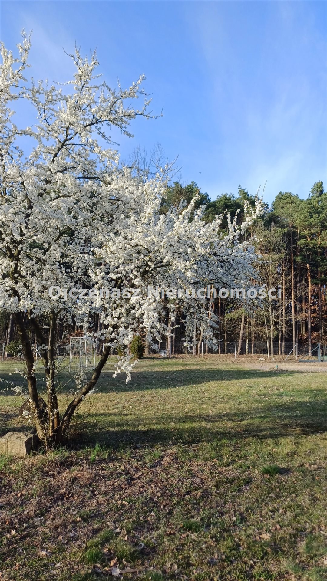 Do sprzedania działka 960 m² pod dom w Toporzysku Toporzysko  960m2 Foto 1