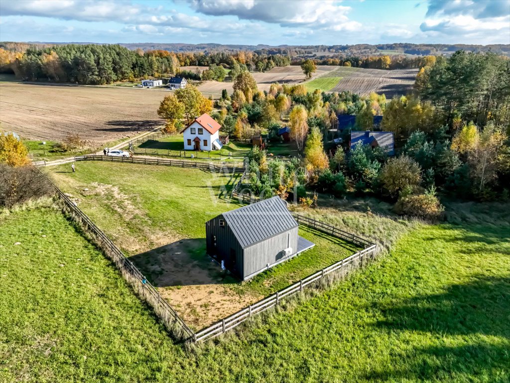 Działka rolna na sprzedaż Borzestowska Huta  1 235m2 Foto 3