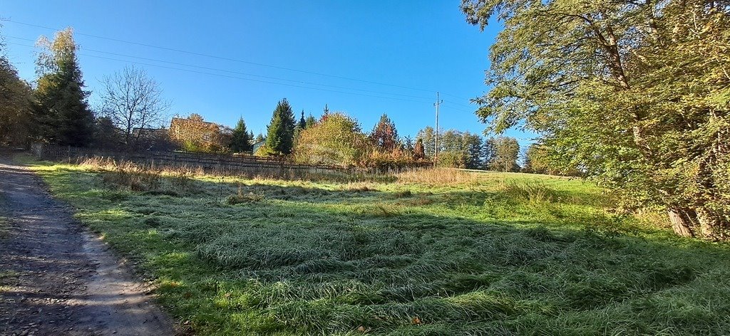 Działka budowlana na sprzedaż Cieszyn, Żniwna  972m2 Foto 1