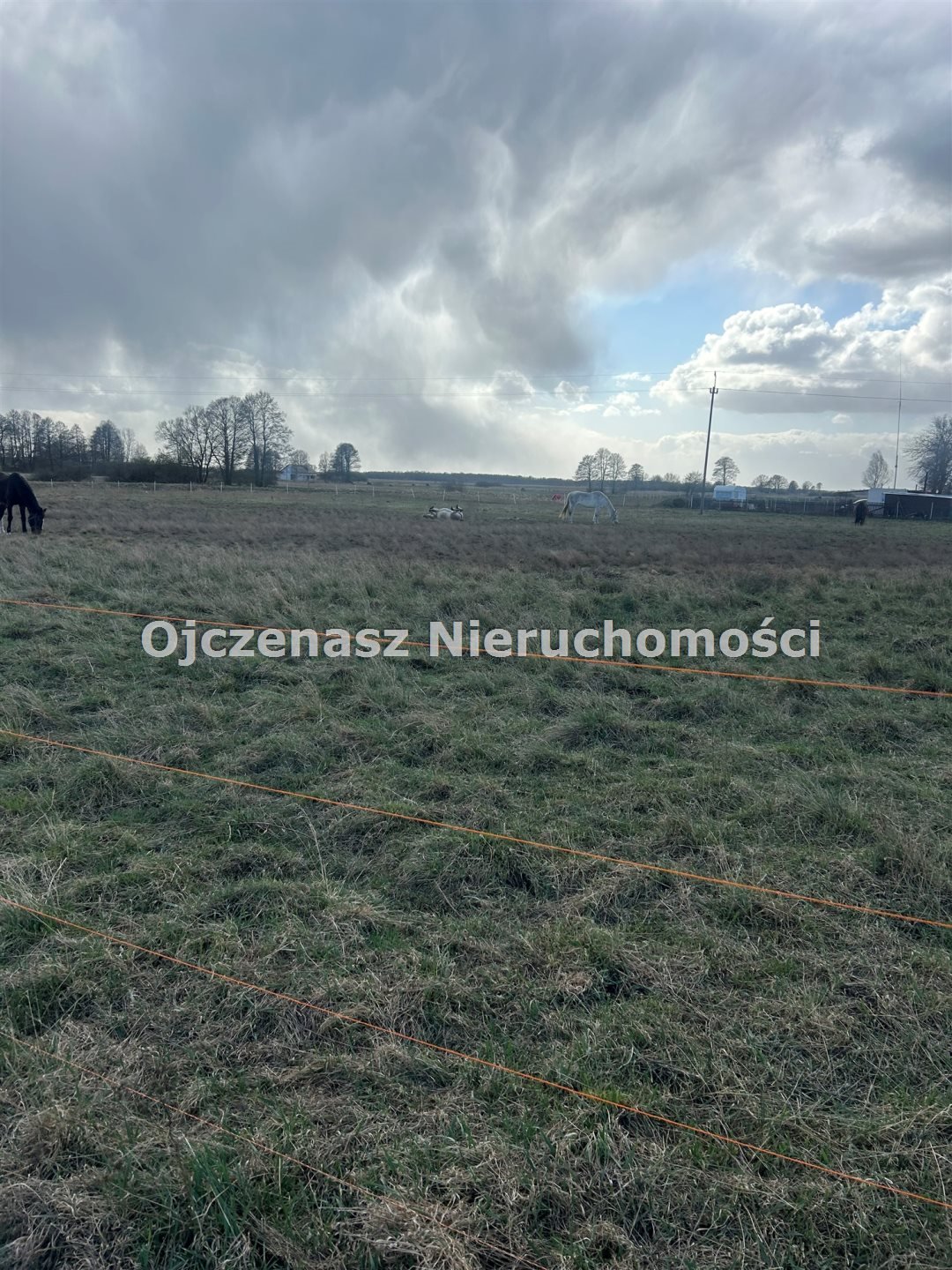 Działka inna na sprzedaż Przyłęki  6 892m2 Foto 1
