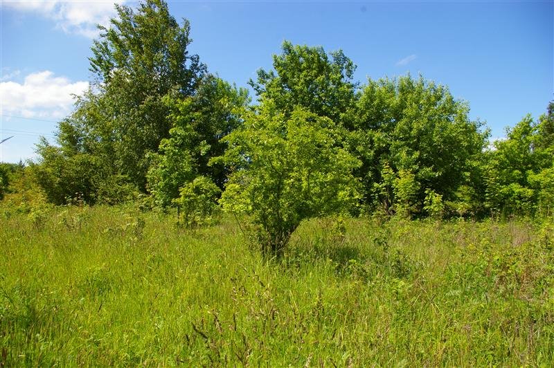 Działka siedliskowa na sprzedaż Jeżyce, Jeżyce  61 000m2 Foto 11