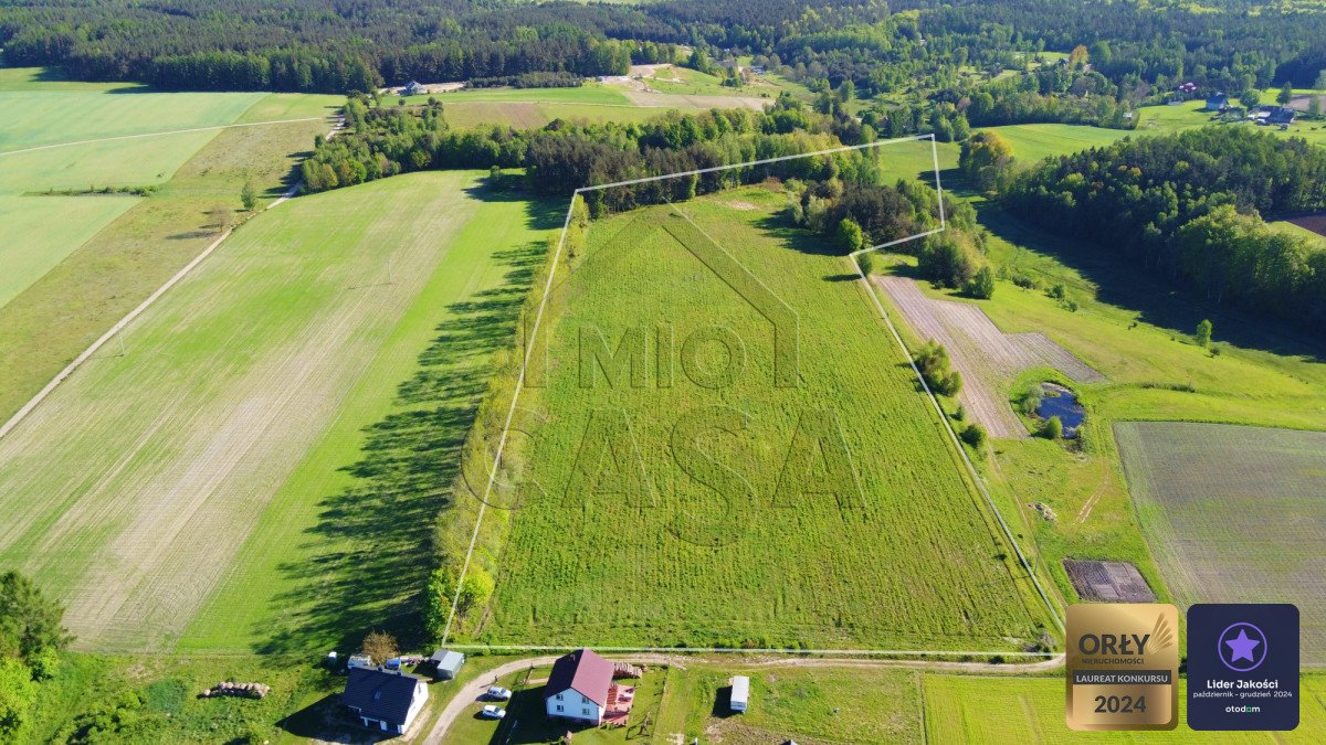 Działka inwestycyjna na sprzedaż Bieszkowice, Wiejska  31 669m2 Foto 1