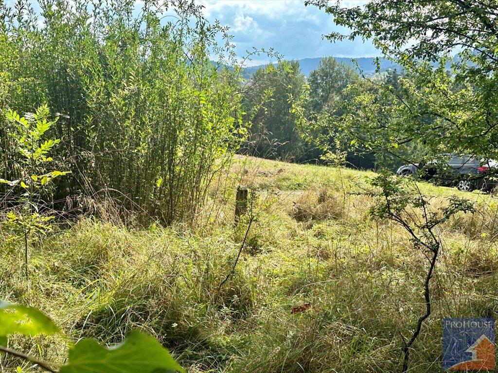 Działka budowlana na sprzedaż Limanowa, Stara Wieś  5 700m2 Foto 9