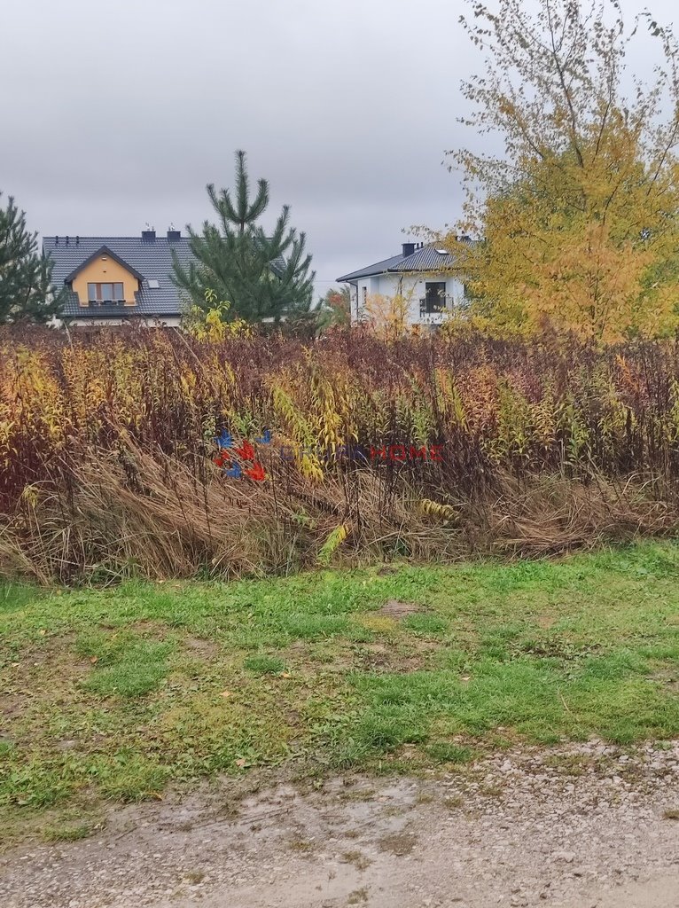 Zdjęcie 4