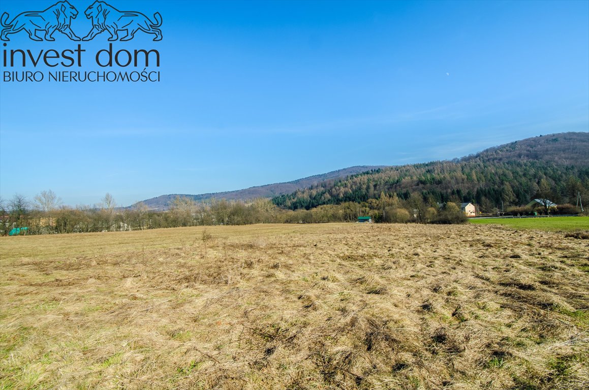 Działka budowlana na sprzedaż Hańczowa  7 100m2 Foto 6