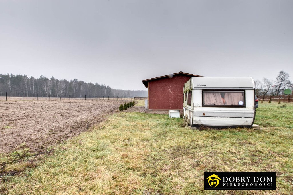 Działka siedliskowa na sprzedaż Brześcianka  10 000m2 Foto 6