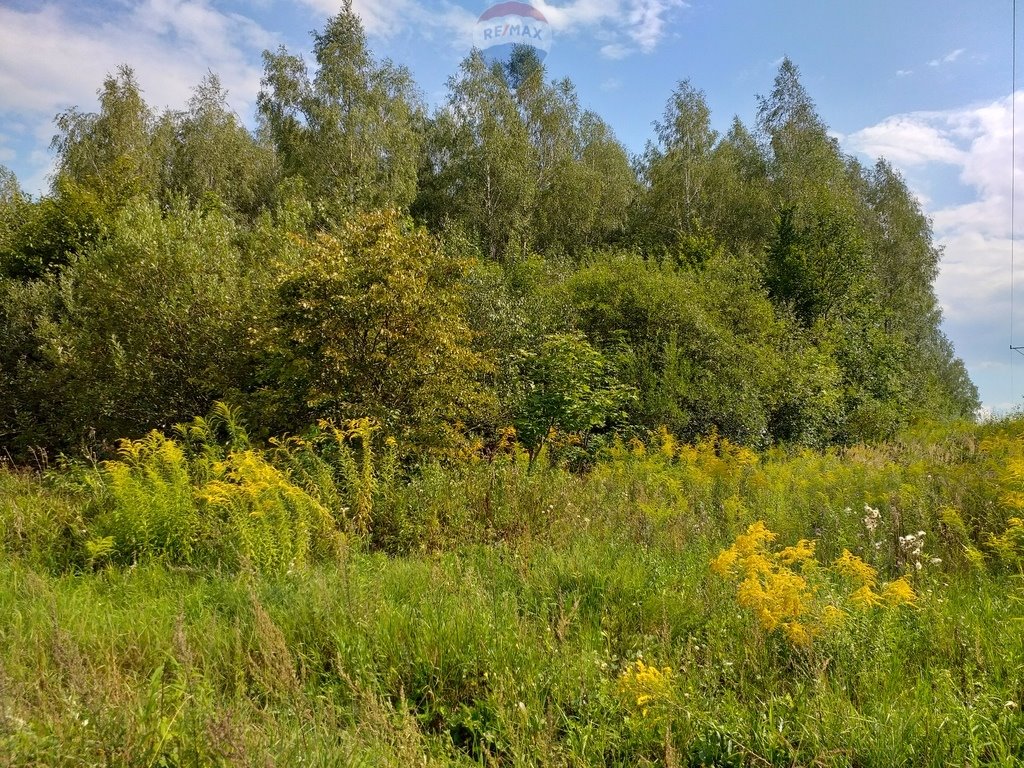 Działka inwestycyjna na sprzedaż Lembruk  28 866m2 Foto 4