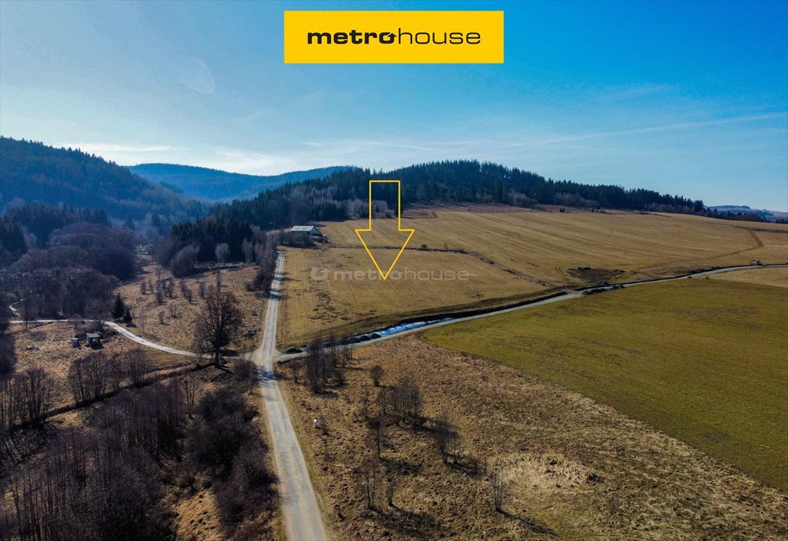 Przestronna działka 23 243 m2 z widokiem na góry Szczytna, Bobrowniki Stare  23 243m2 Foto 1