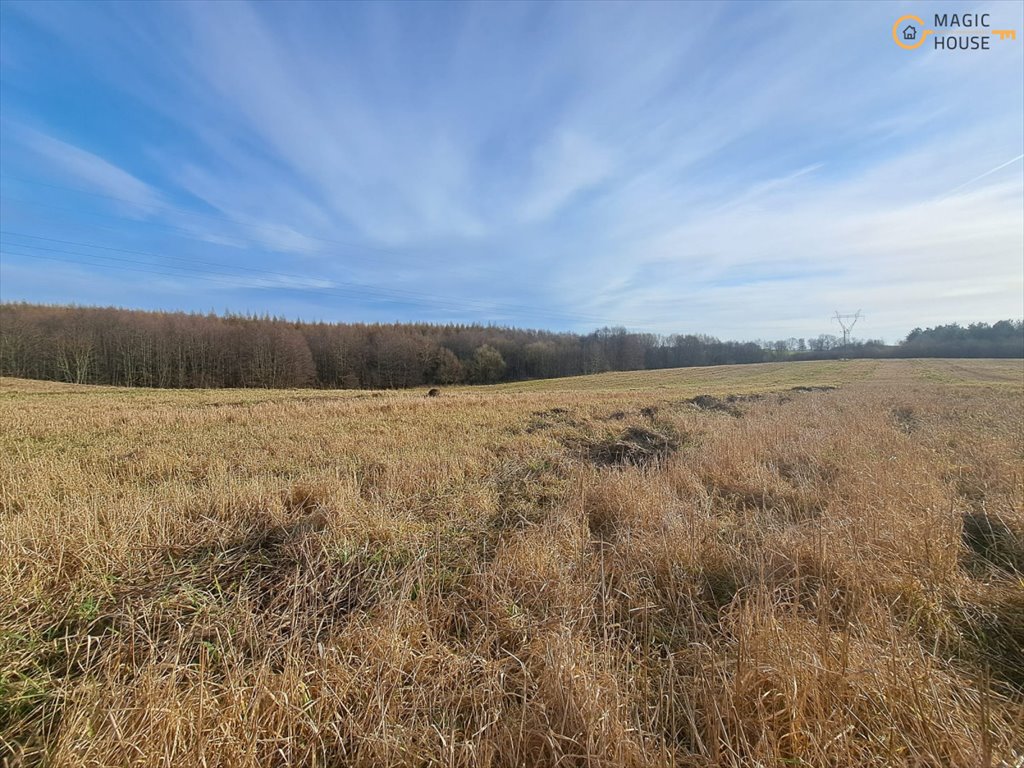 Na sprzedaż duża działka 3,85 ha z lasem i strumieniem Trąbki Małe, Perłowa  38 500m2 Foto 1