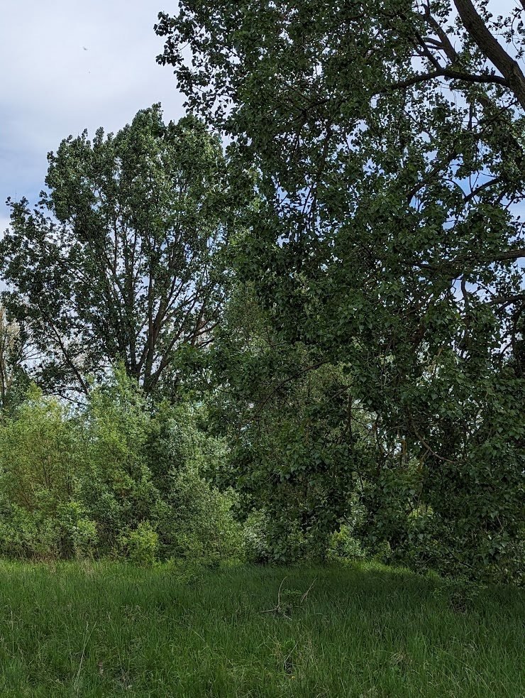 Działka inna na sprzedaż Strońsko  5 500m2 Foto 5