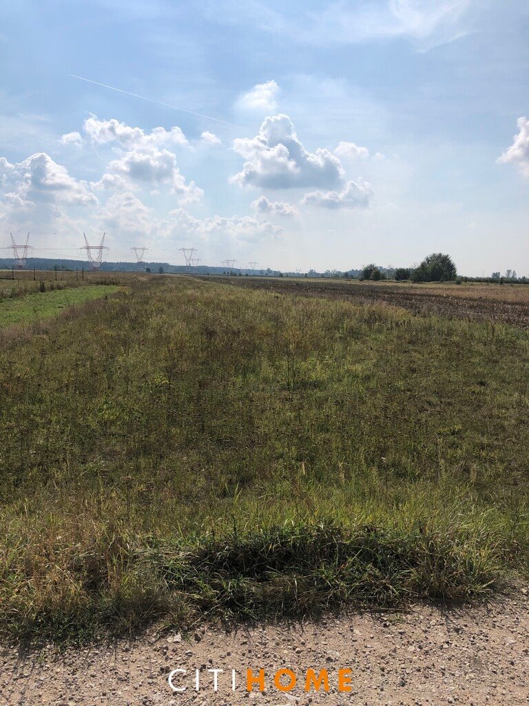 Działka budowlana na sprzedaż Sobienie Biskupie  7 000m2 Foto 9