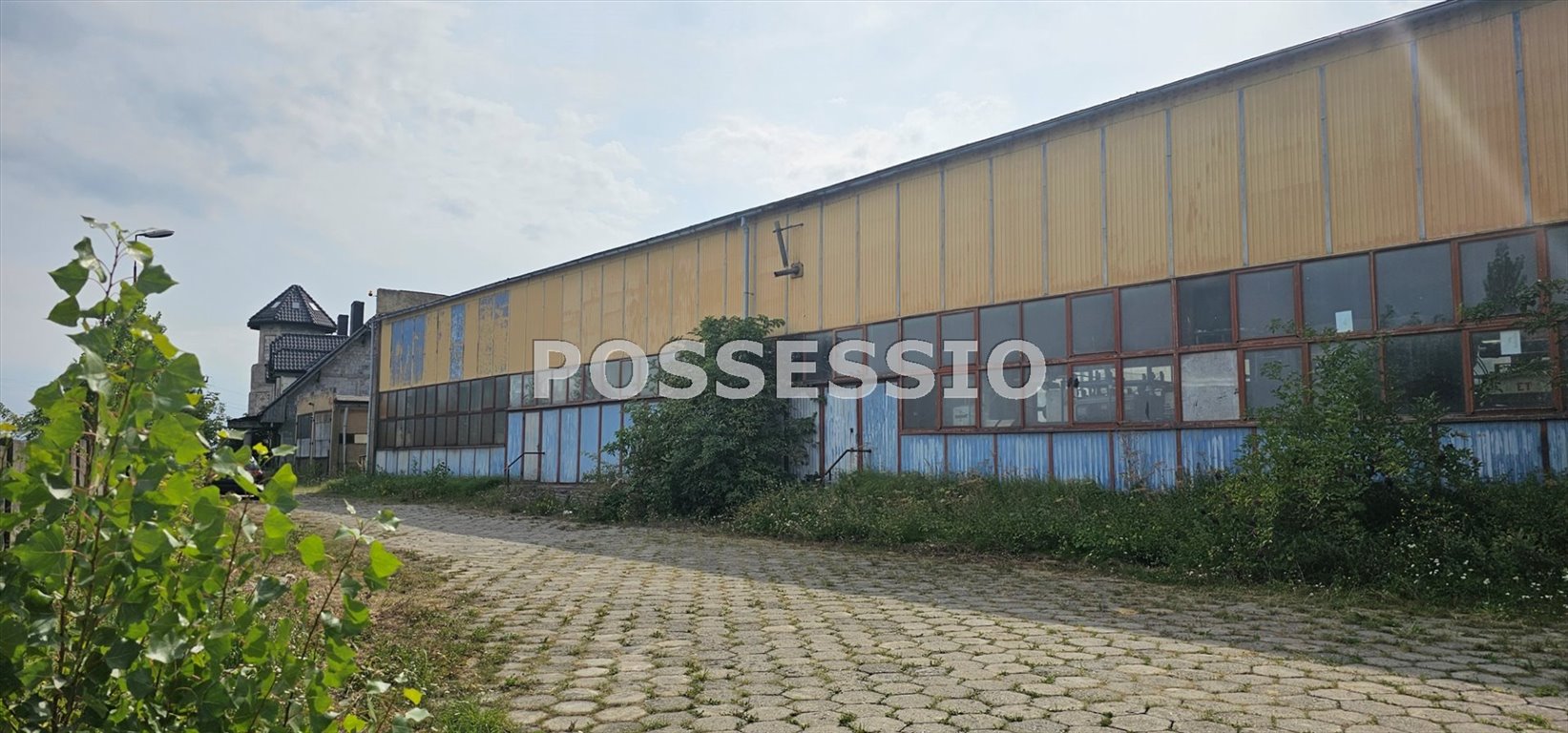 Wynajem działki 650 m² z halą i parkingiem w Strzegomiu Strzegom  650m2 Foto 1