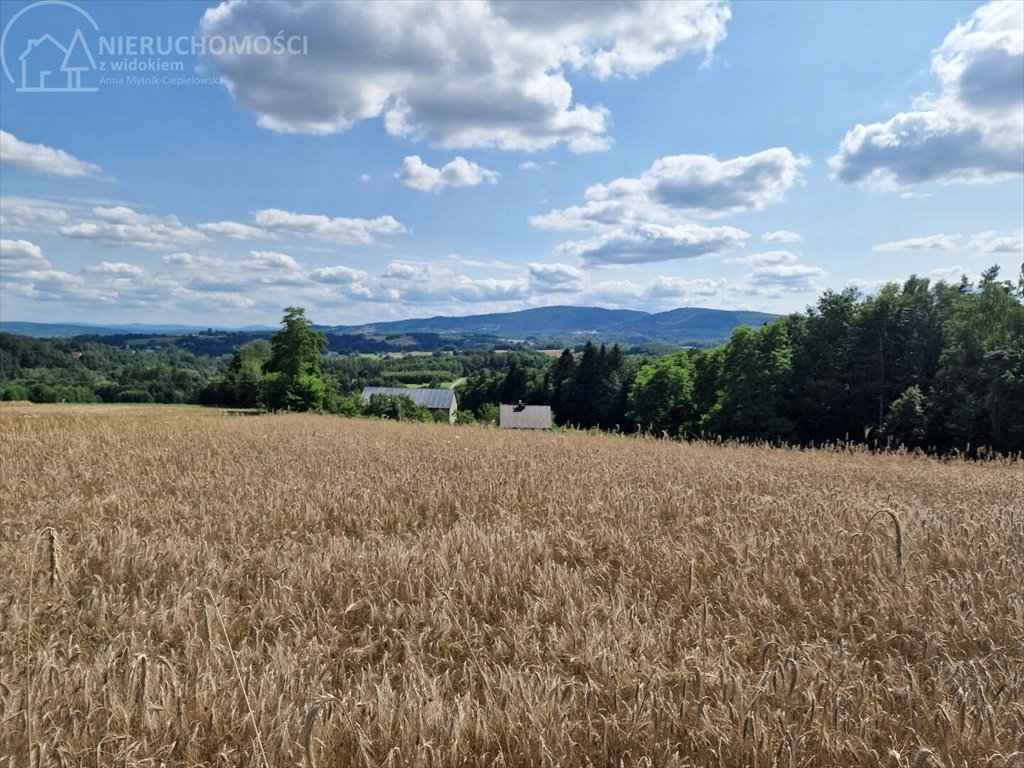 Działka budowlana na sprzedaż Błażkowa  2 200m2 Foto 1